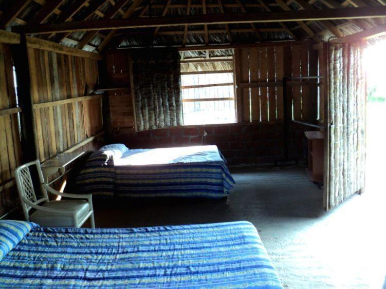 Cabanas Pie De La Cuesta Hotel Coyuca Habitación foto